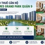 Giá cho thuê căn hộ Vinhomes Grand Park quận 9