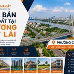 Mua bán nhà đất tại Phường Cát Lái